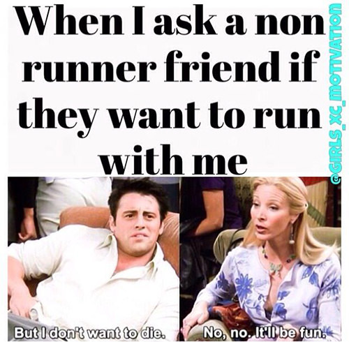 Best Funny Running Memes, Quotes & Jokes! Best Funny Running Memes, Quotes & Jokes!
