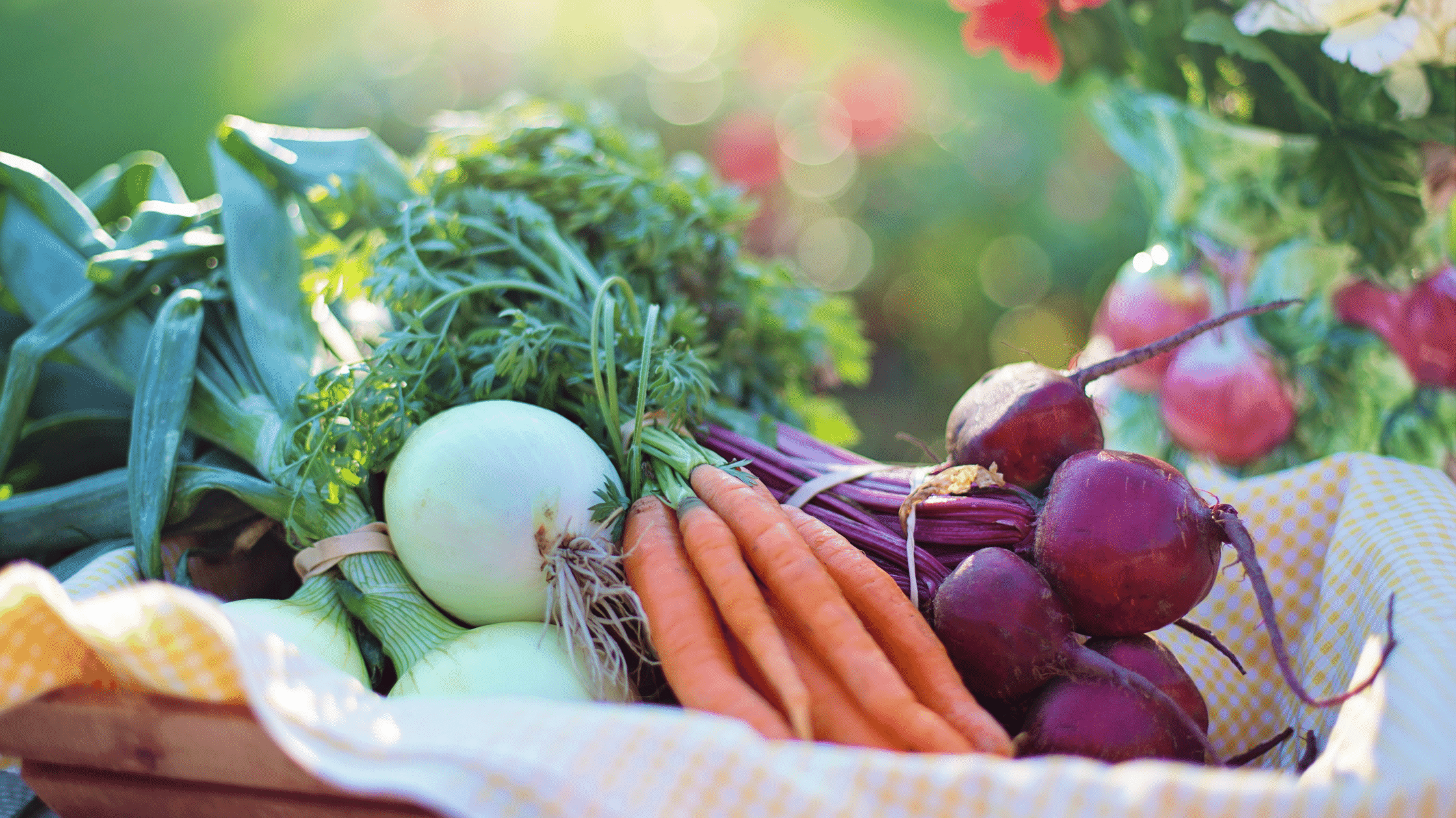 Long Distance Running Uses Carbs Long Distance Running Uses Carbs