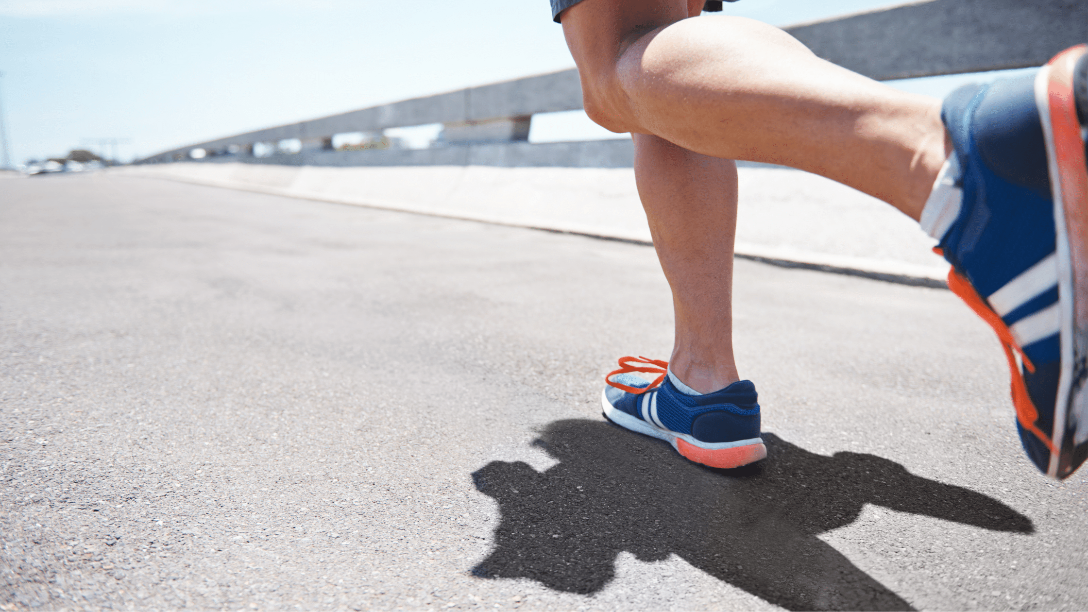 Long Distance Running Muscle Fiber