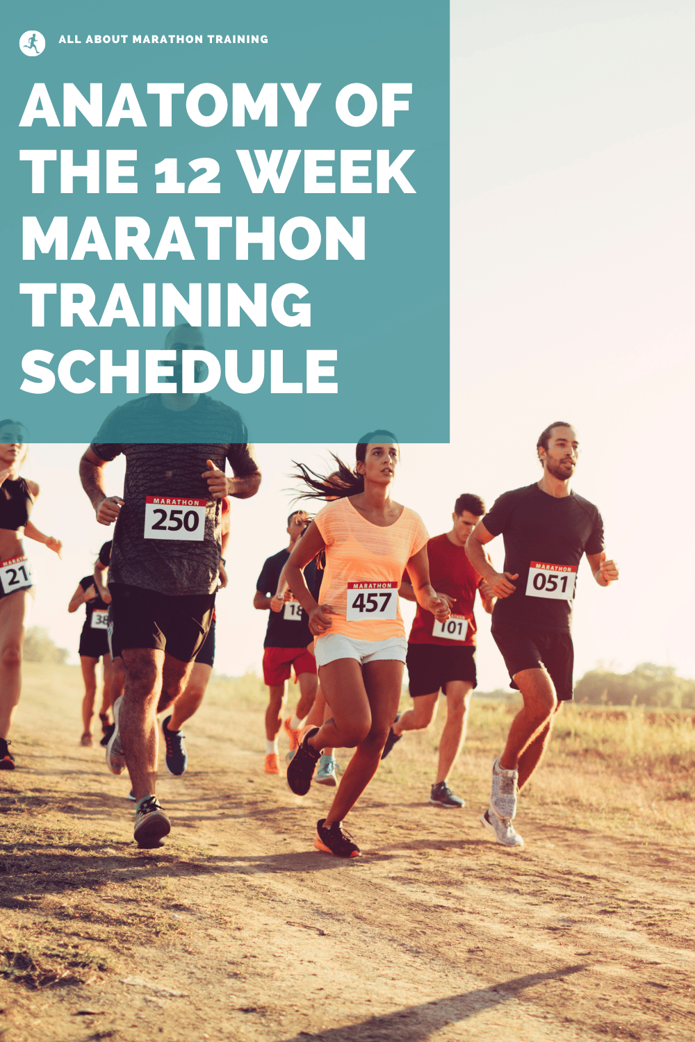 12 Week Marathon Training Schedule Anatomy
