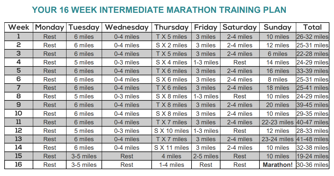 Moderate 16 Week Marathon Training Plan Download Prin Vrogue co moderate-16-week-marathon-training-plan-download-prin-vrogue-co