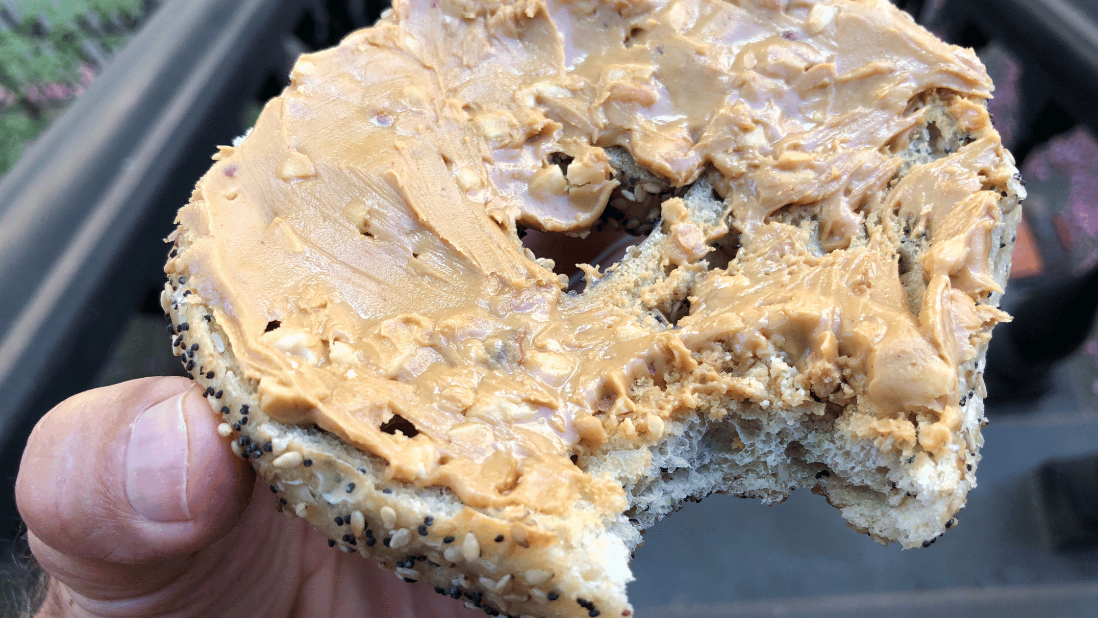 Best Breakfast For Runners Whole Grain Bagel