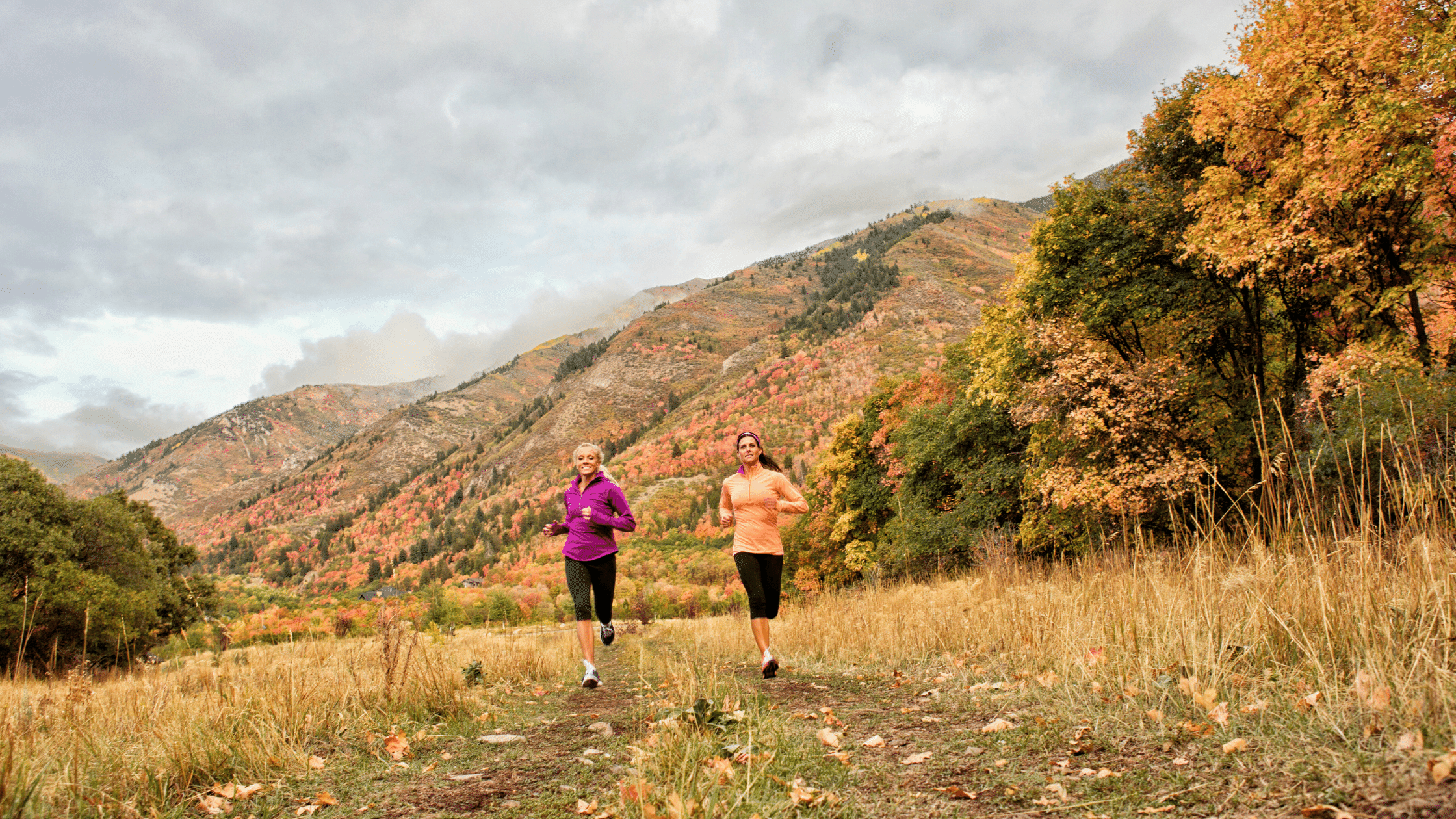 Long Distance Running Why Run a Long Run