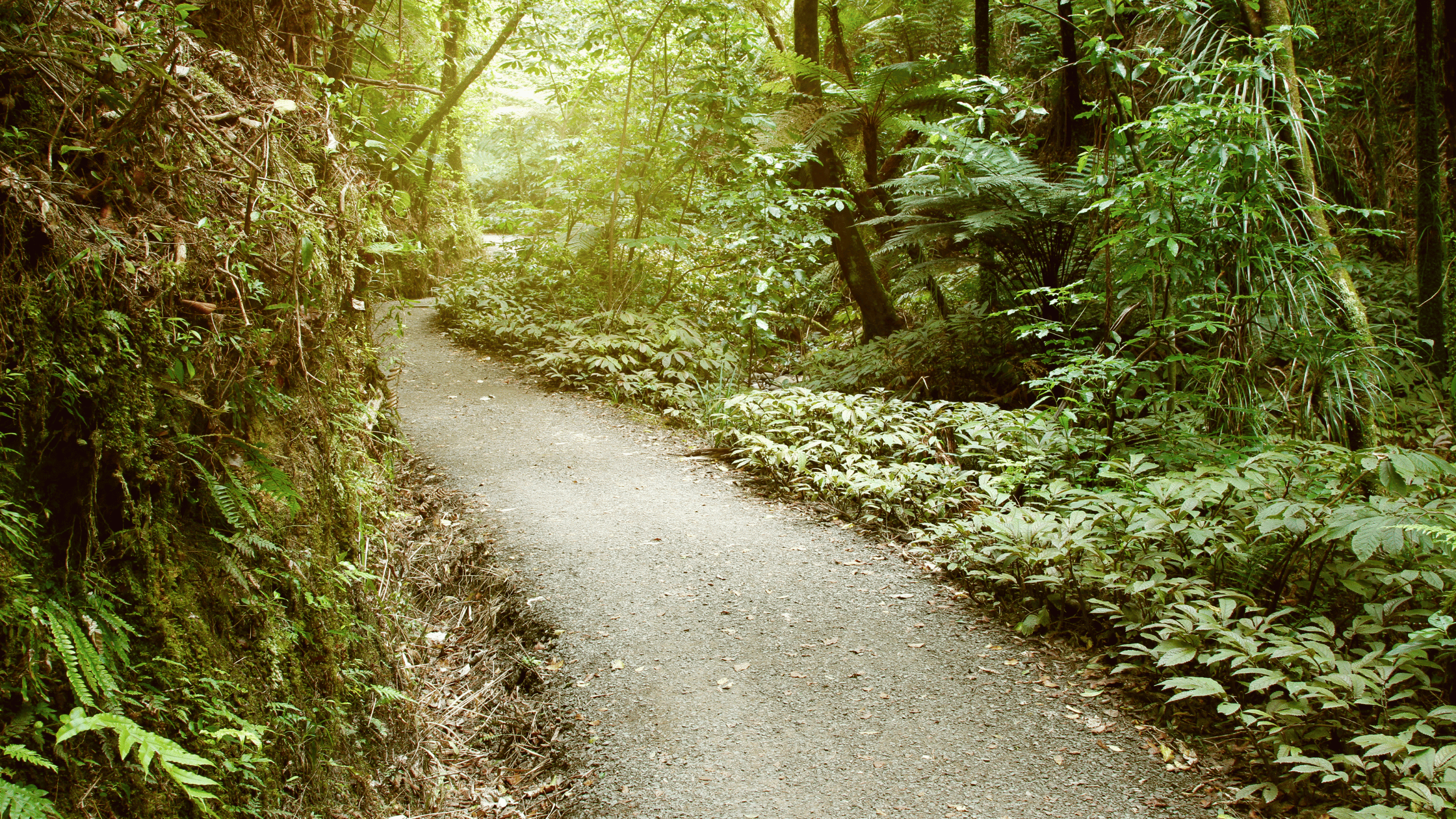 Marathon Training Walking Trail