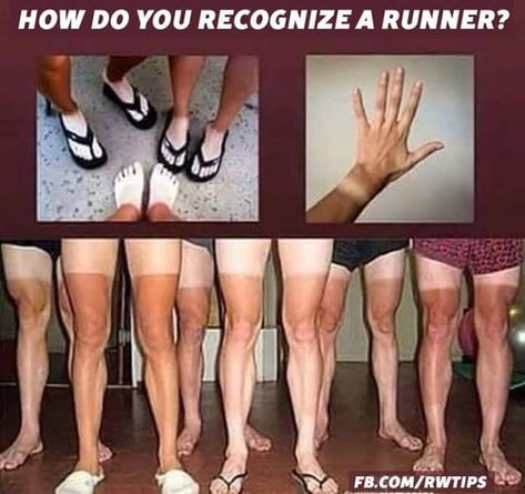 Best Funny Running Memes, Quotes & Jokes! Best Funny Running Memes, Quotes & Jokes!