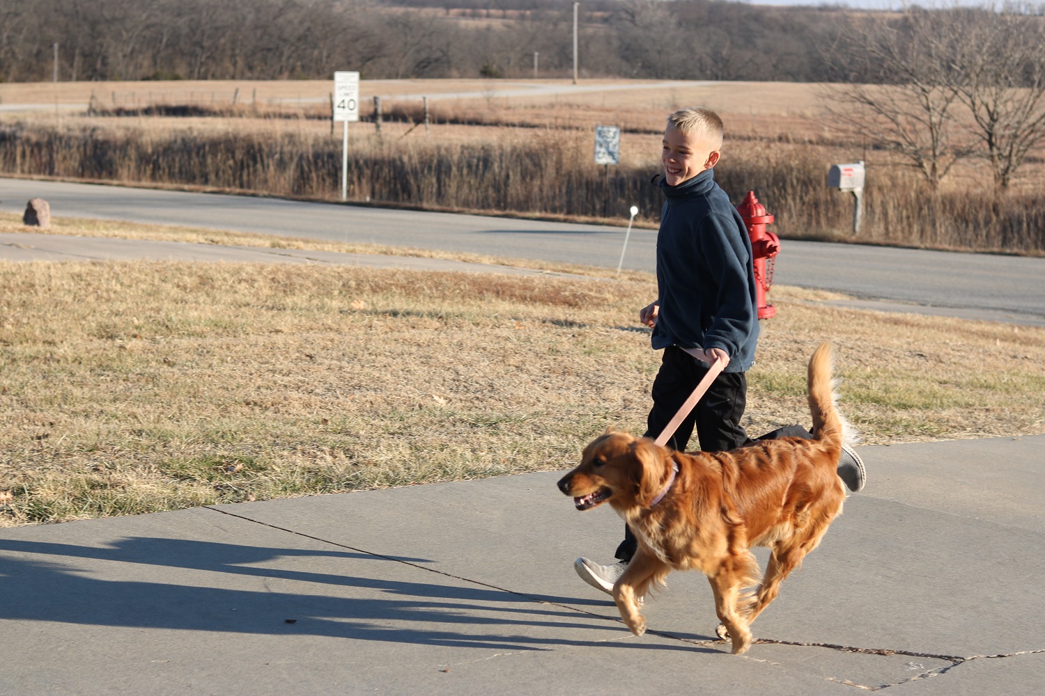 RunningWithaGoldenRetriever